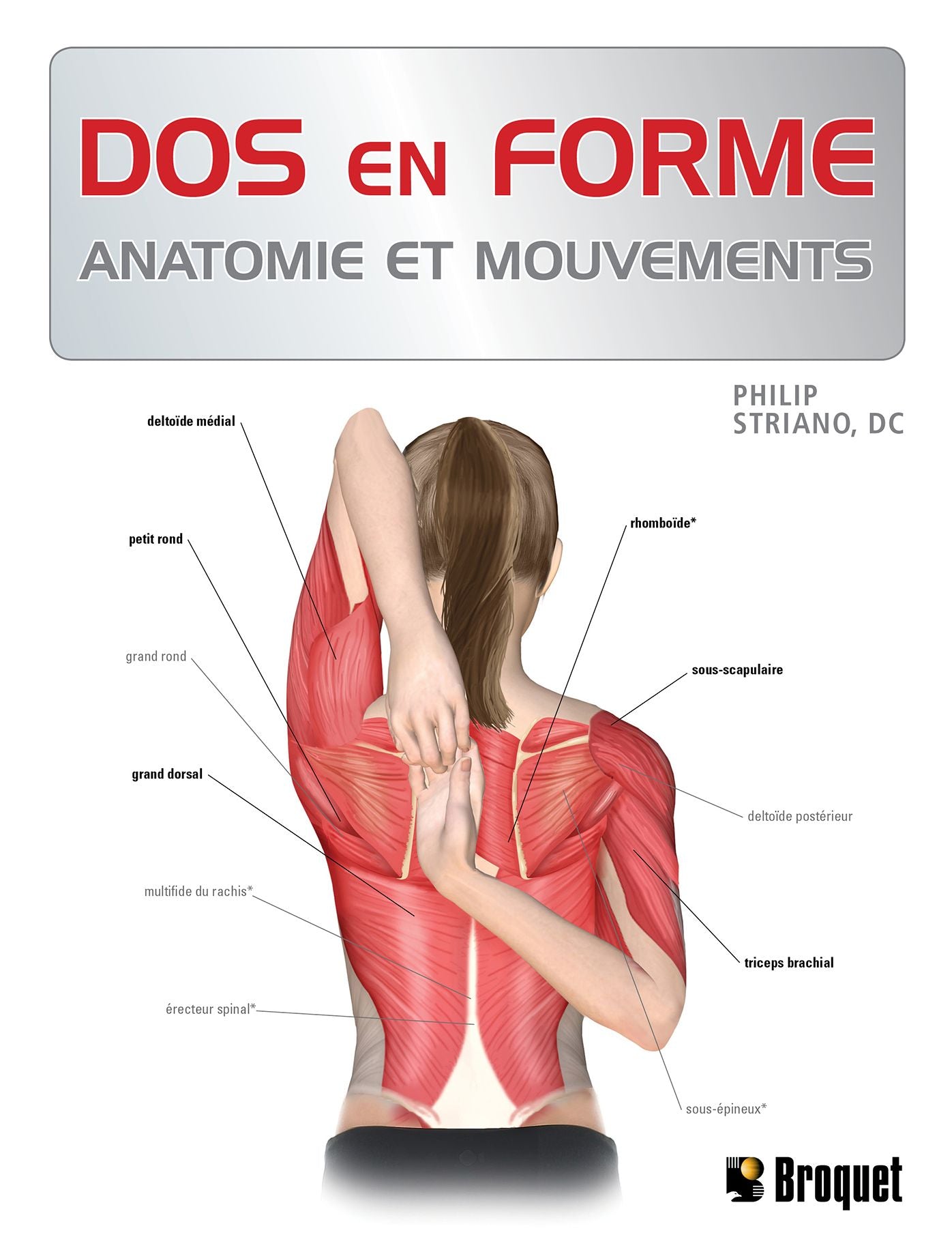 Dos en forme: Anatomie et mouvements