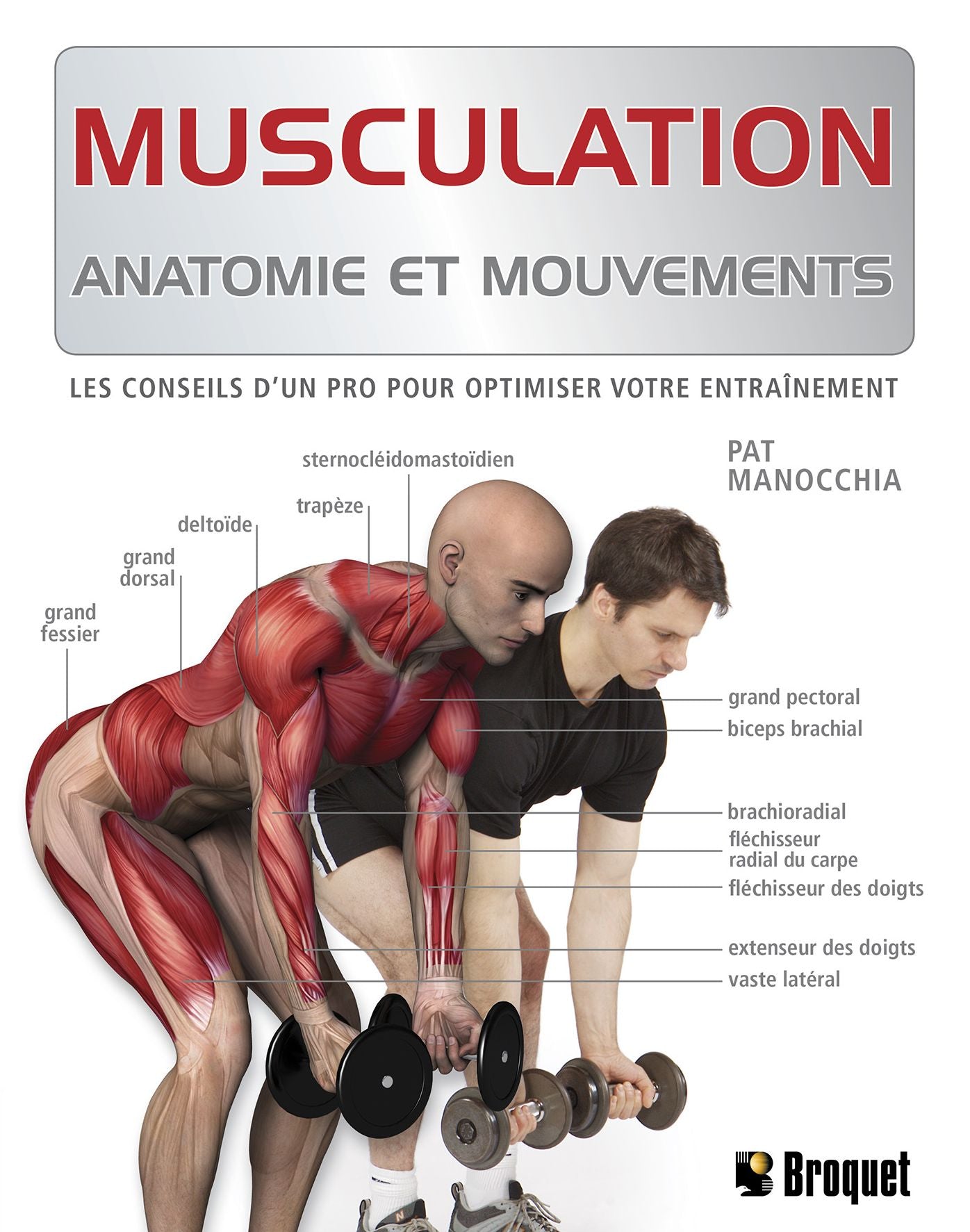 Musculation: Anatomie et mouvements