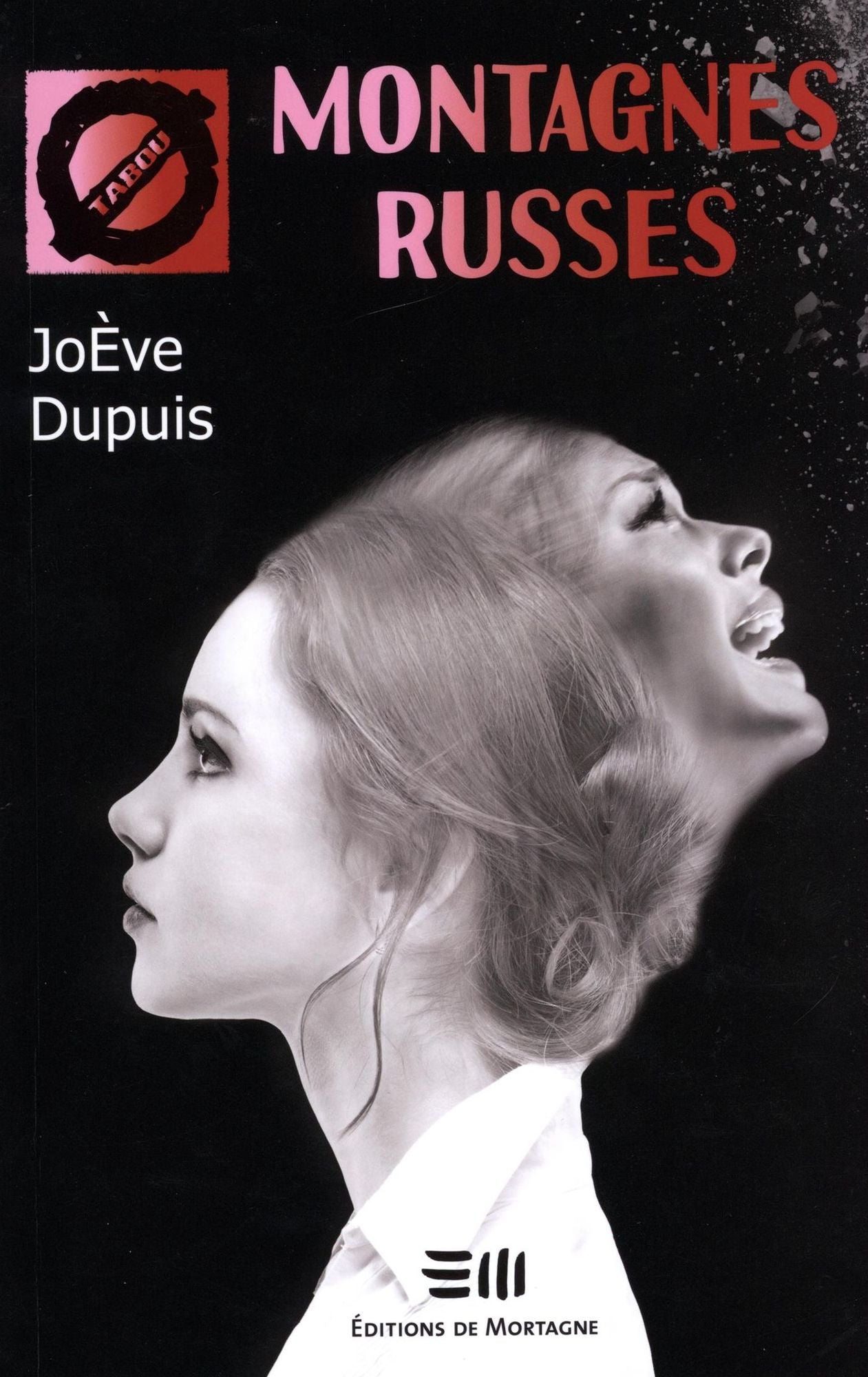 Montagnes russes 26
