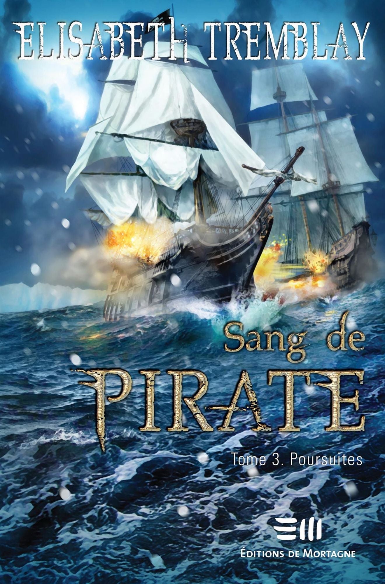 Sang de pirate 03 : Poursuites