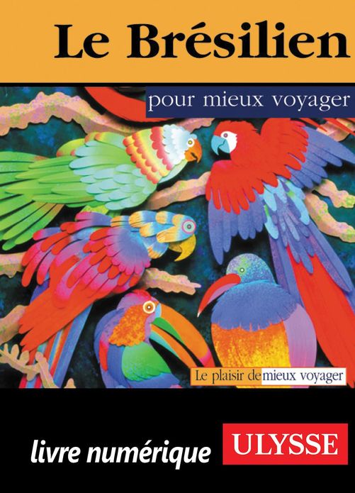 Le Brésilien pour mieux voyager