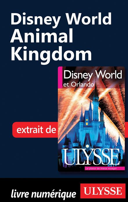 Disney World - Animal Kingdom