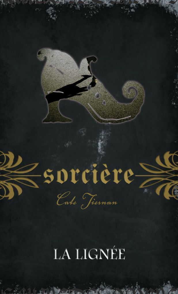 Sorcière: Le livre des ombres