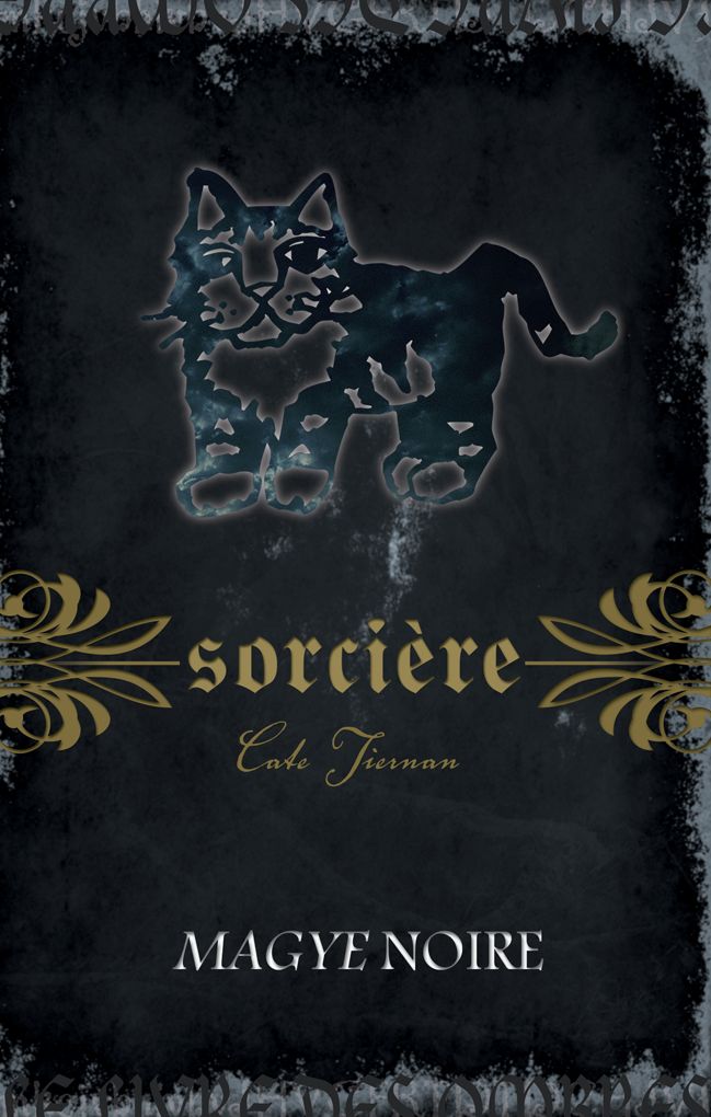 Sorcière: Magye noire