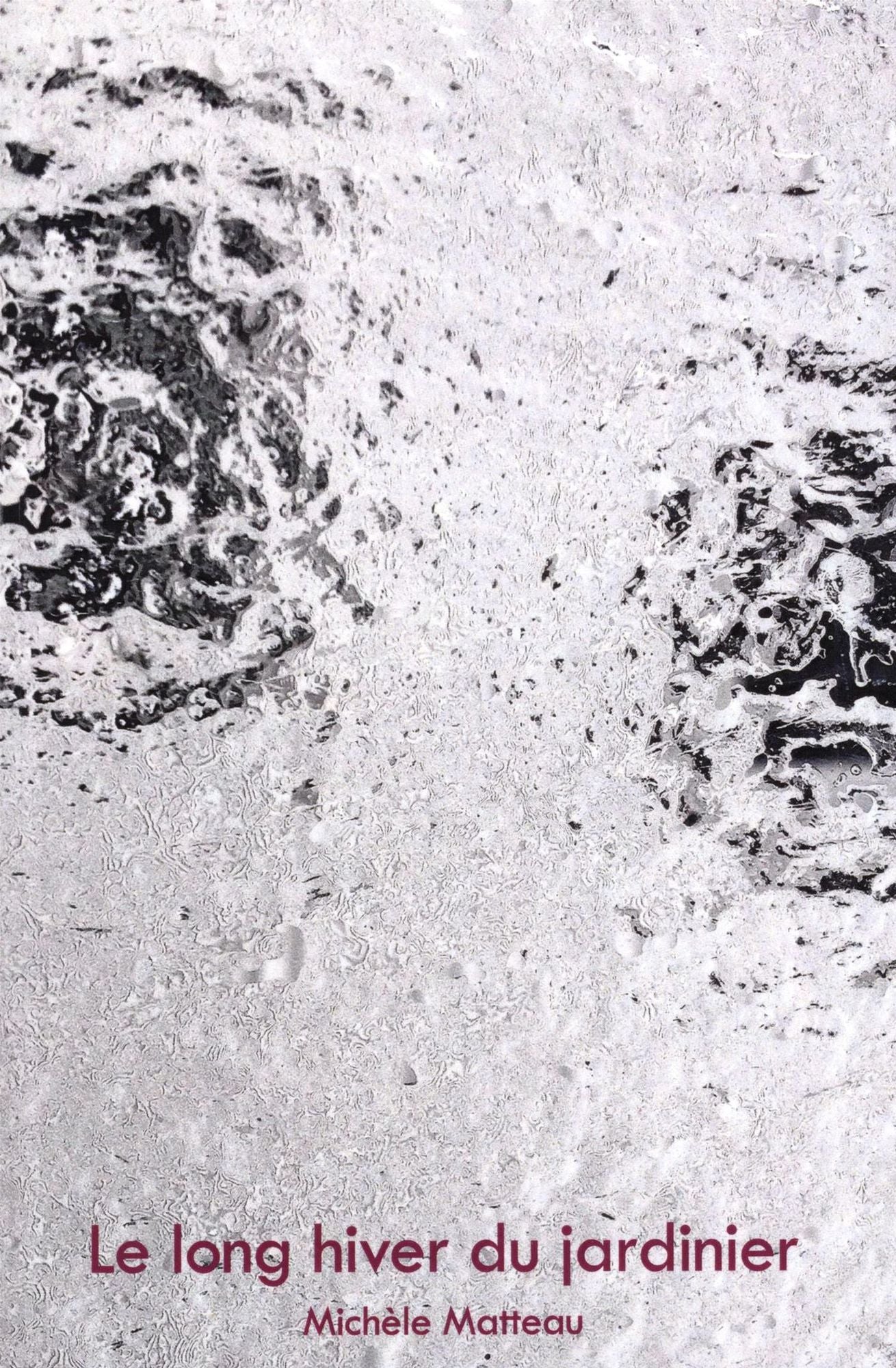 Le long hiver du jardinier 03