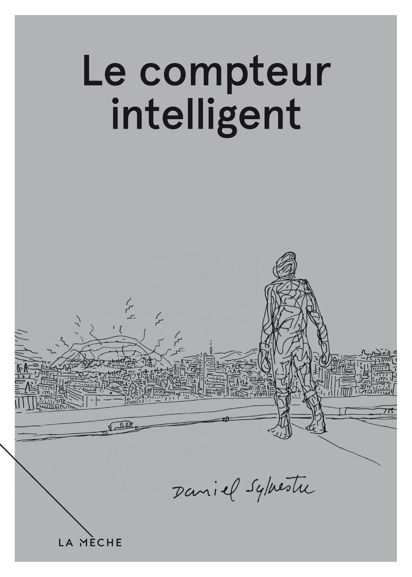 Le compteur intelligent: Carnets libres, volume 2