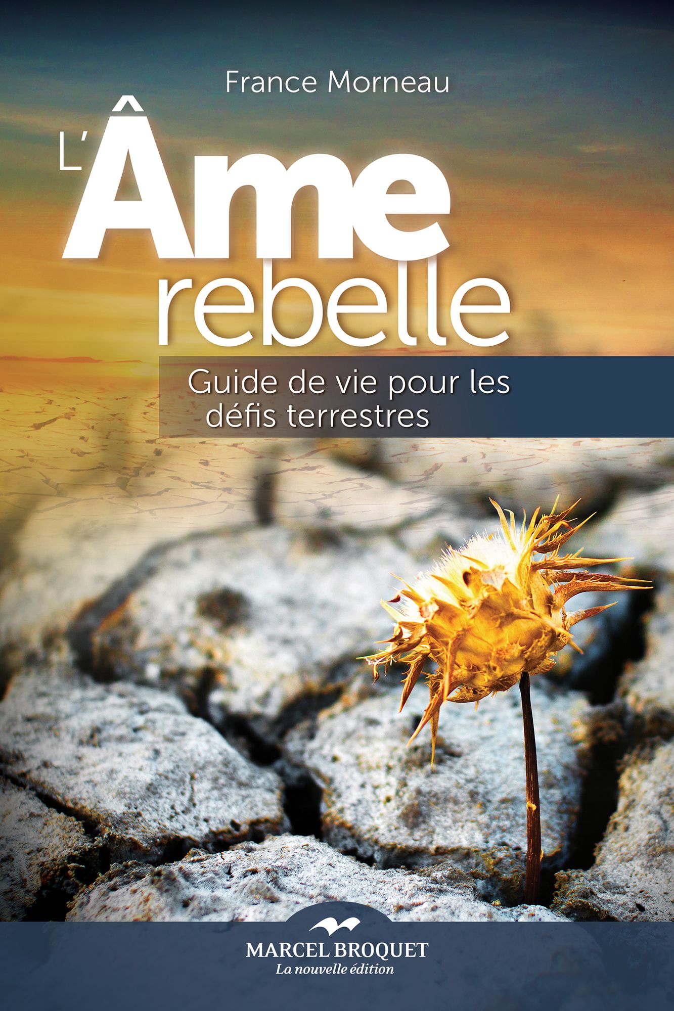 L'âme rebelle: Guide de vie pour les défis terrestres