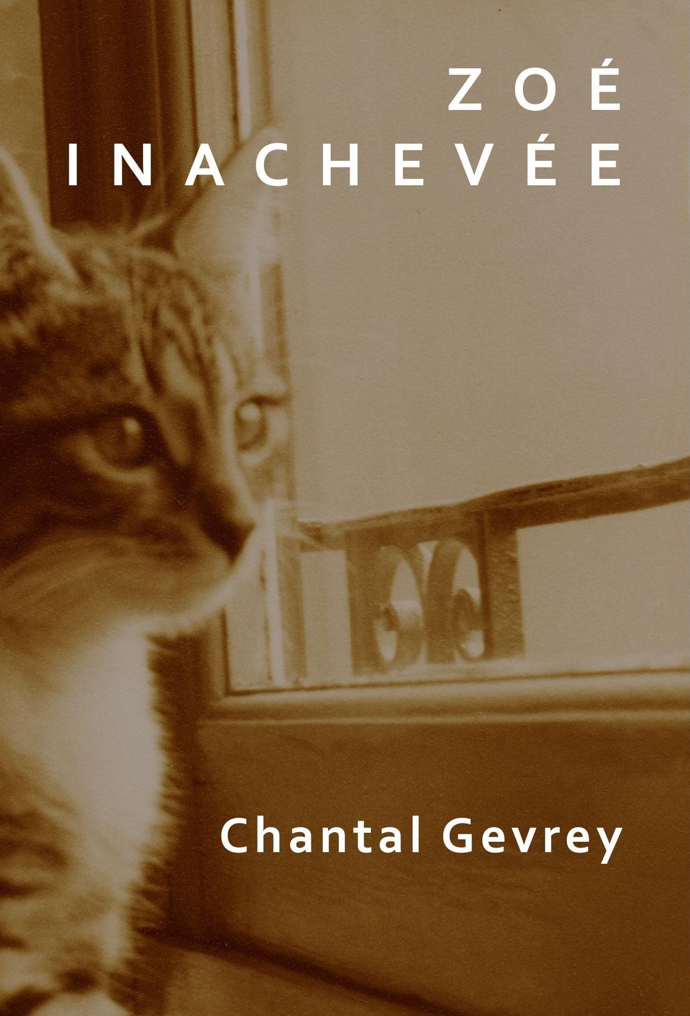 Zoé inachevée