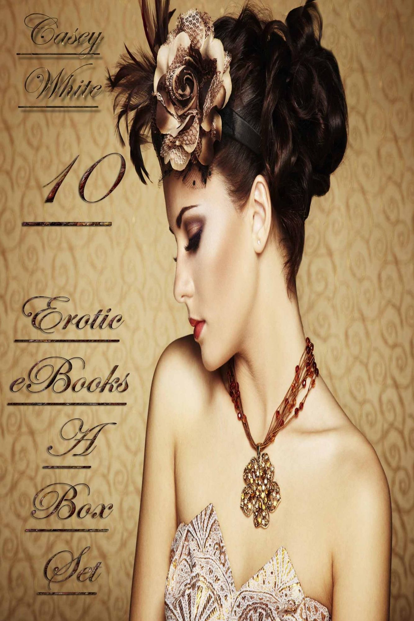 10 Erotic eBooks - A Box Set