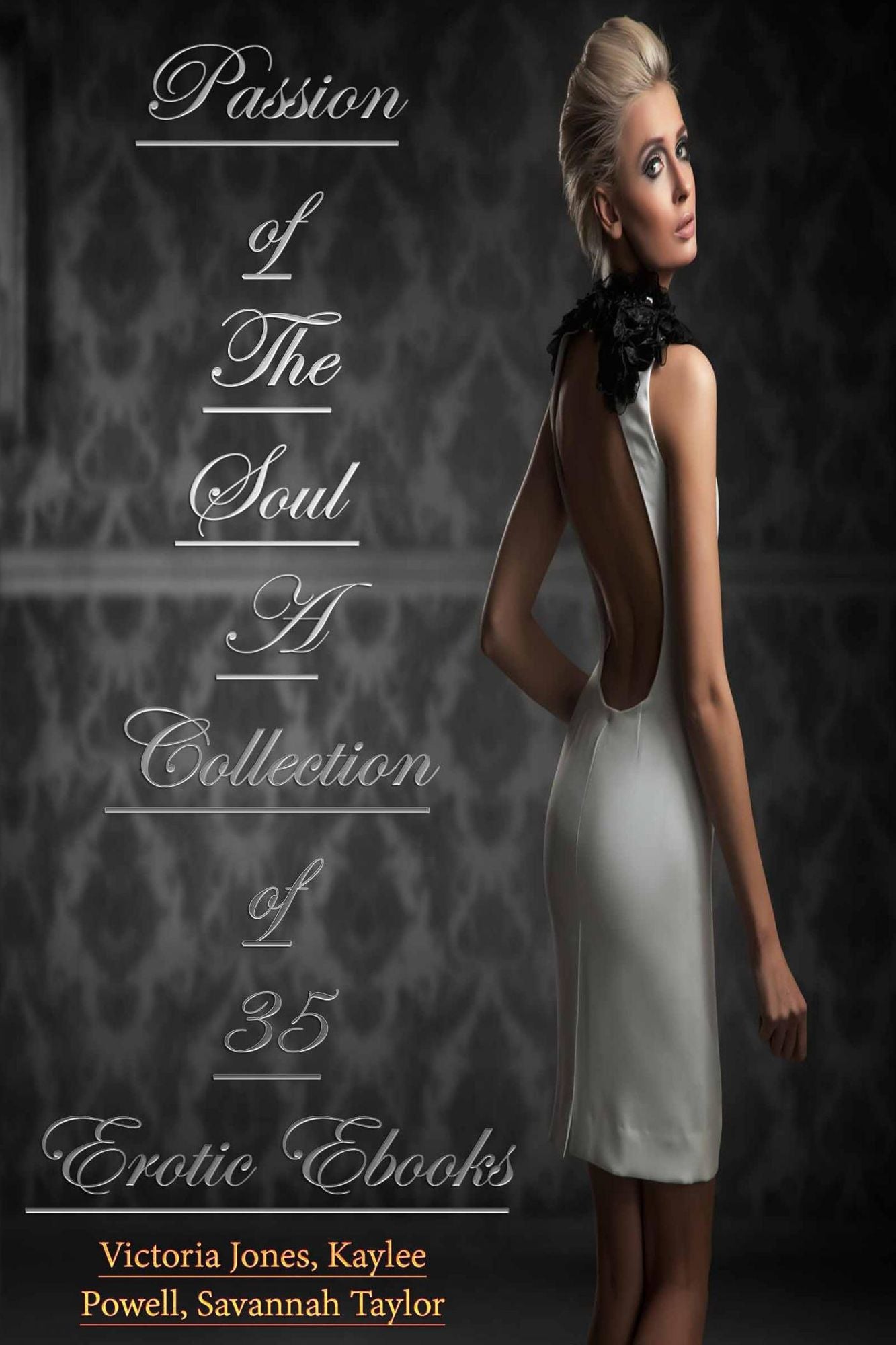 Passion of The Soul - A Collection of 35 Erotic Ebooks