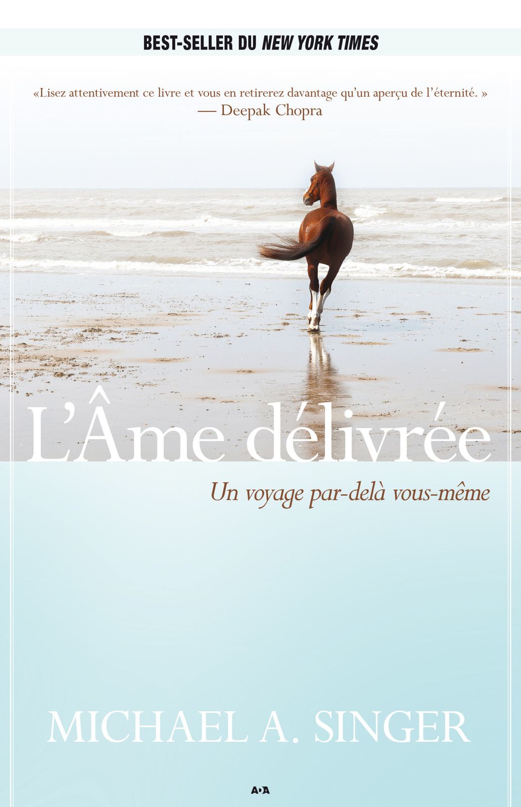 L'Âme délivrée: Un voyage par-delà vous-même