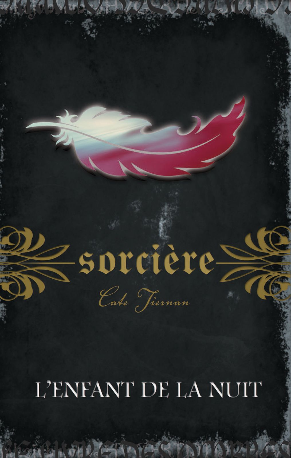 Sorcière: L'enfant de la nuit