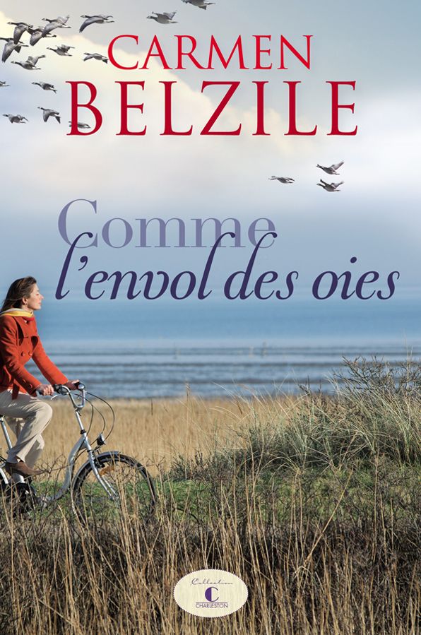 Comme l'envol des oies