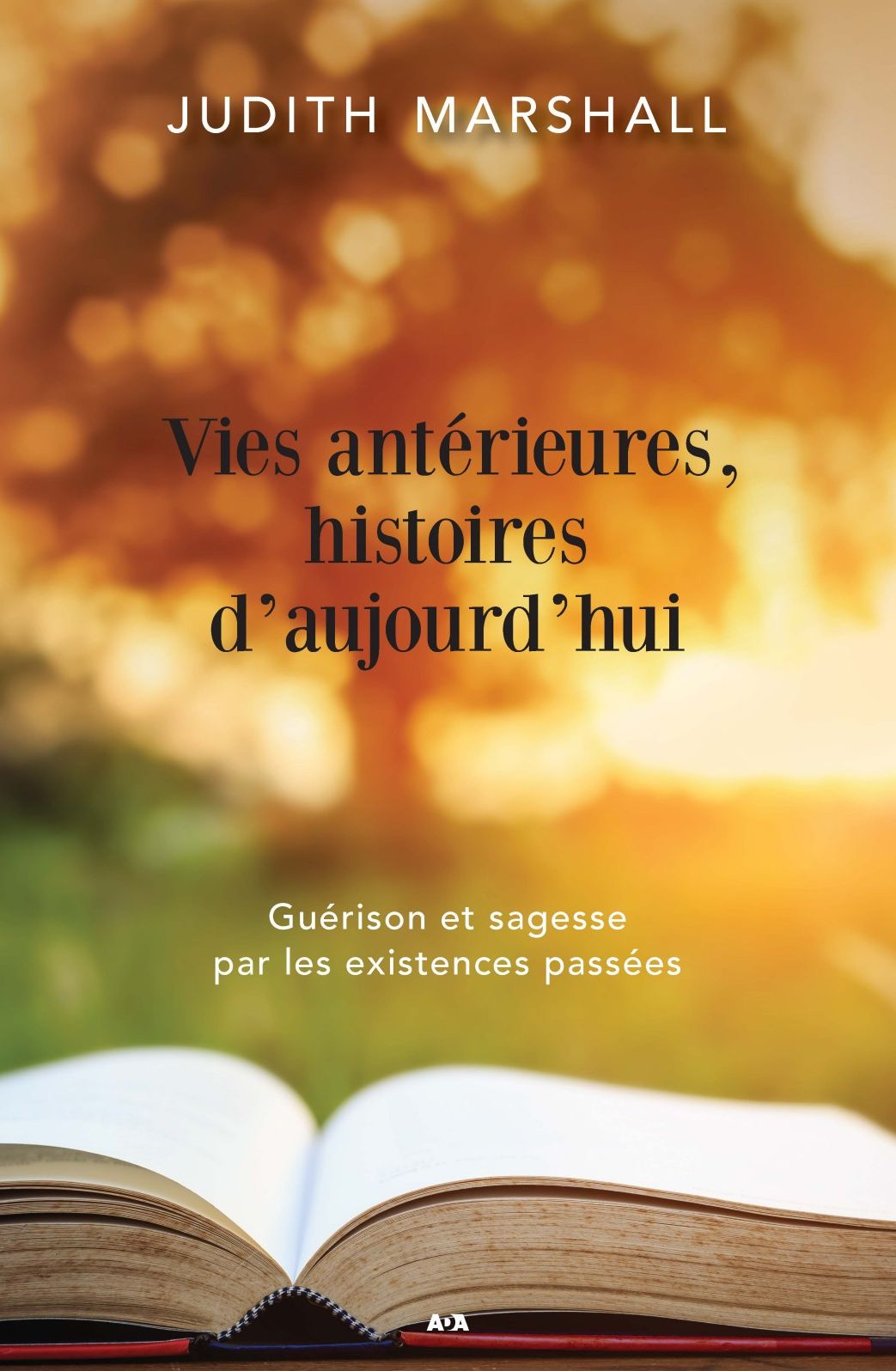 Vies antérieures, histoires d'aujourd'hui: Guérison et sagesse par les existences passées