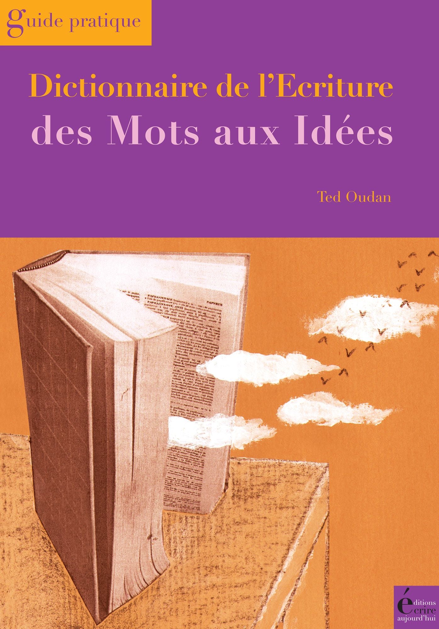 Dictionnaire de l'écriture: Des mots aux idées