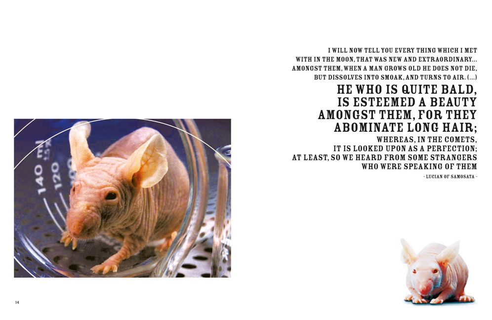 Eduardo Kac & Avital Ronell: Life Extreme