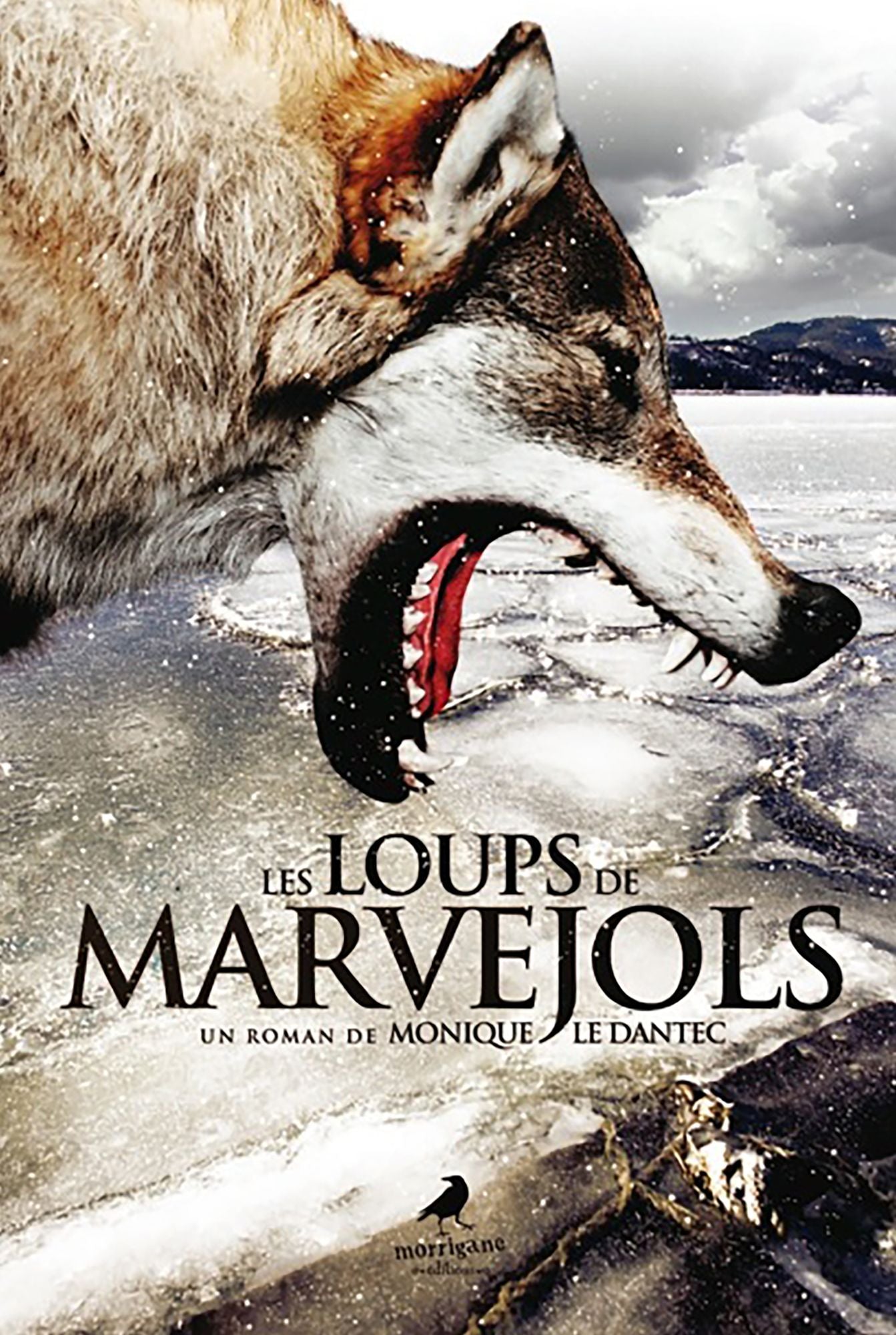 Les Loups de Marvejols: Un thriller au c