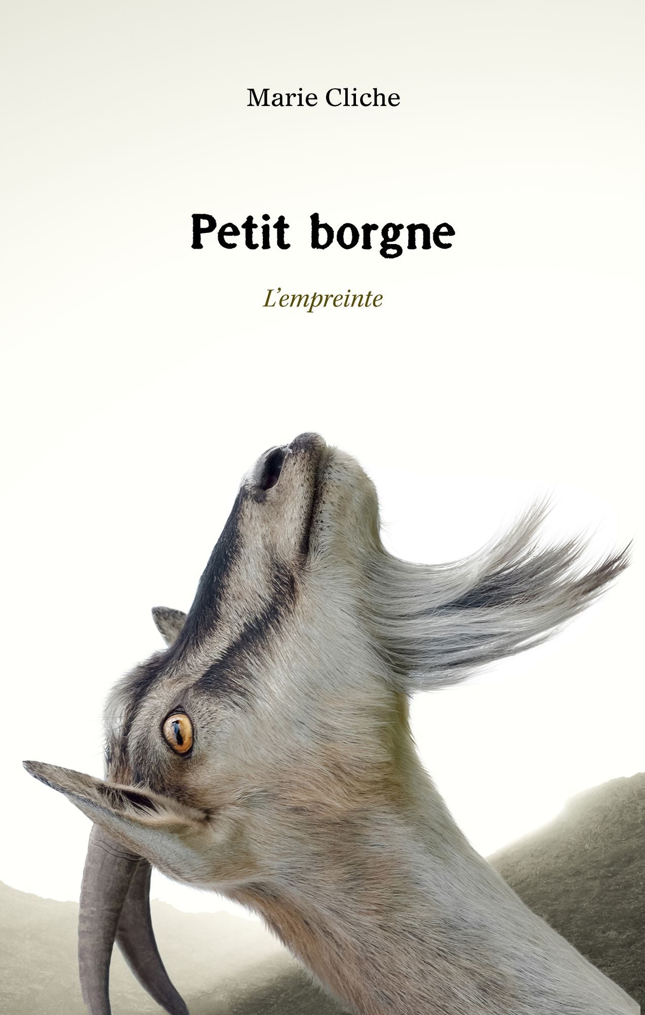 Petit borgne