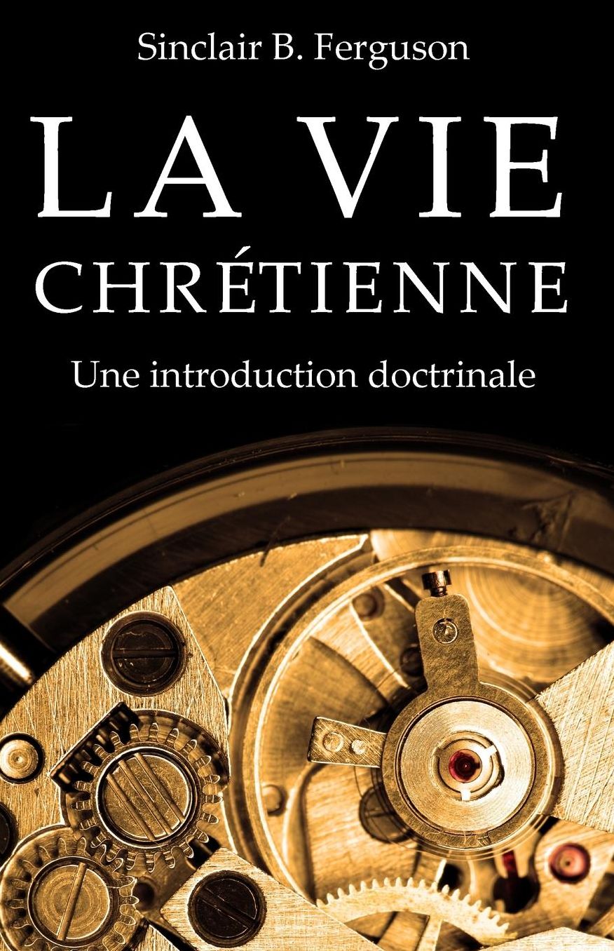 La vie chretienne: Une introduction doctrinale