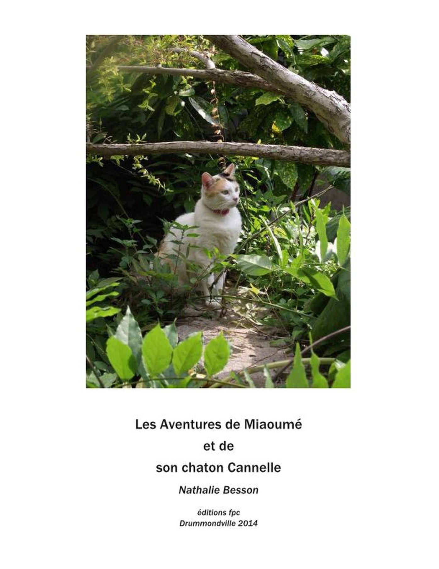 Miaoumé, une chatte, et son chaton Cannelle