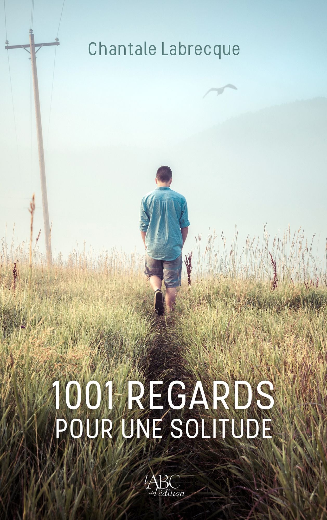 1001 regards pour une solitude