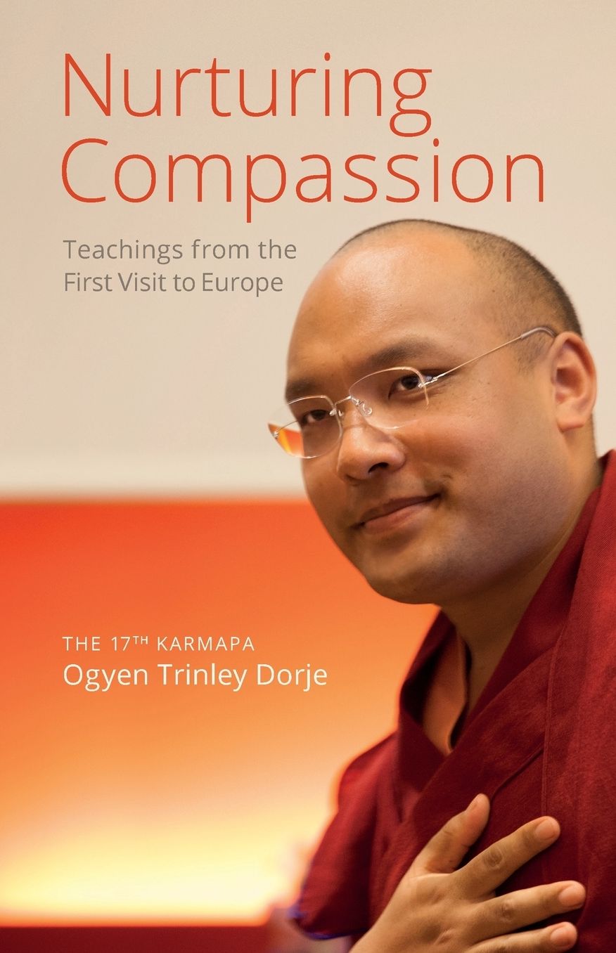 Nurturing Compassion: Teachings from the First Visit to Europe