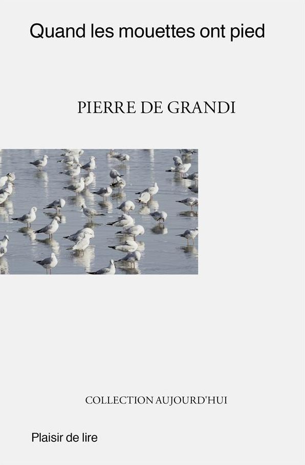 Quand les mouettes ont pied: Un roman de mours moderne