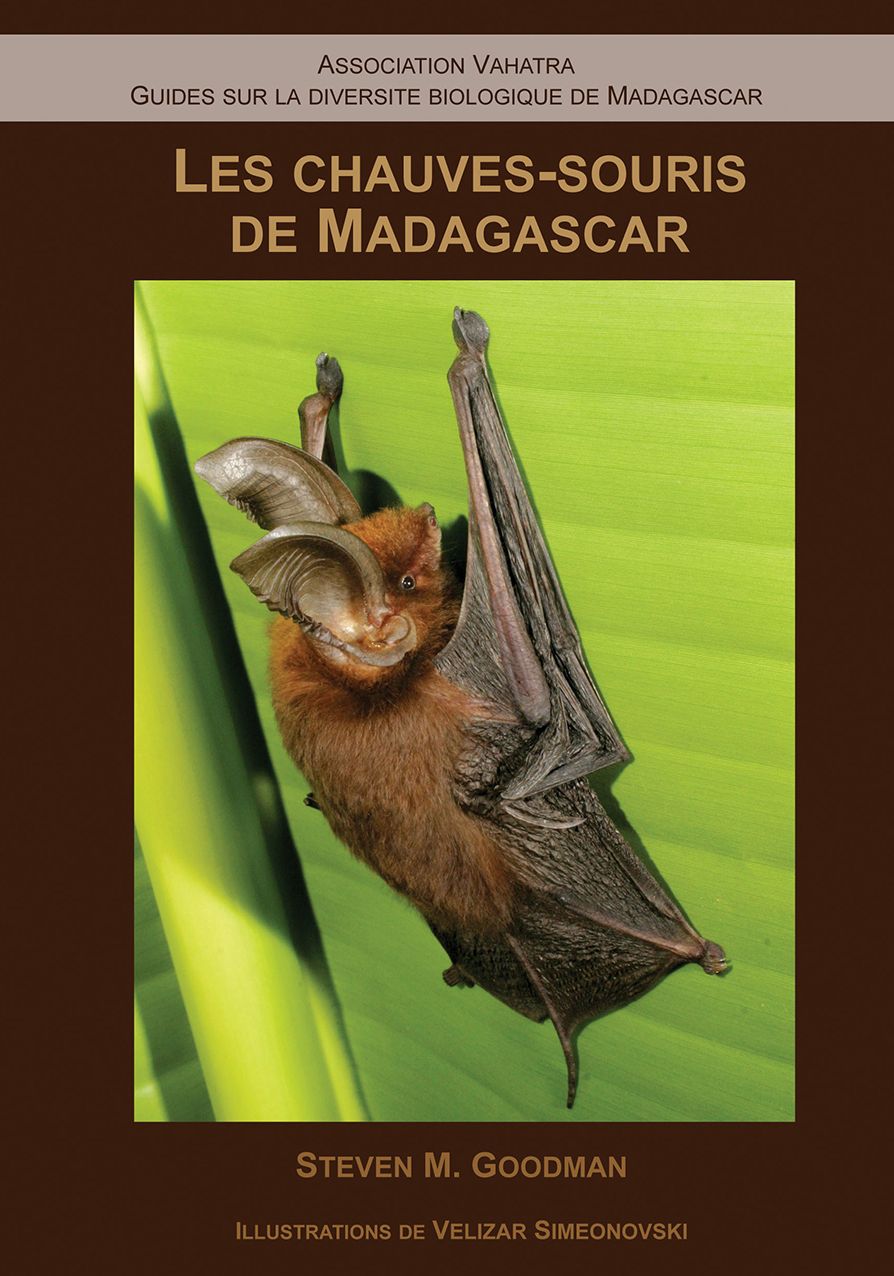 Les Chauves-souris de Madagascar
