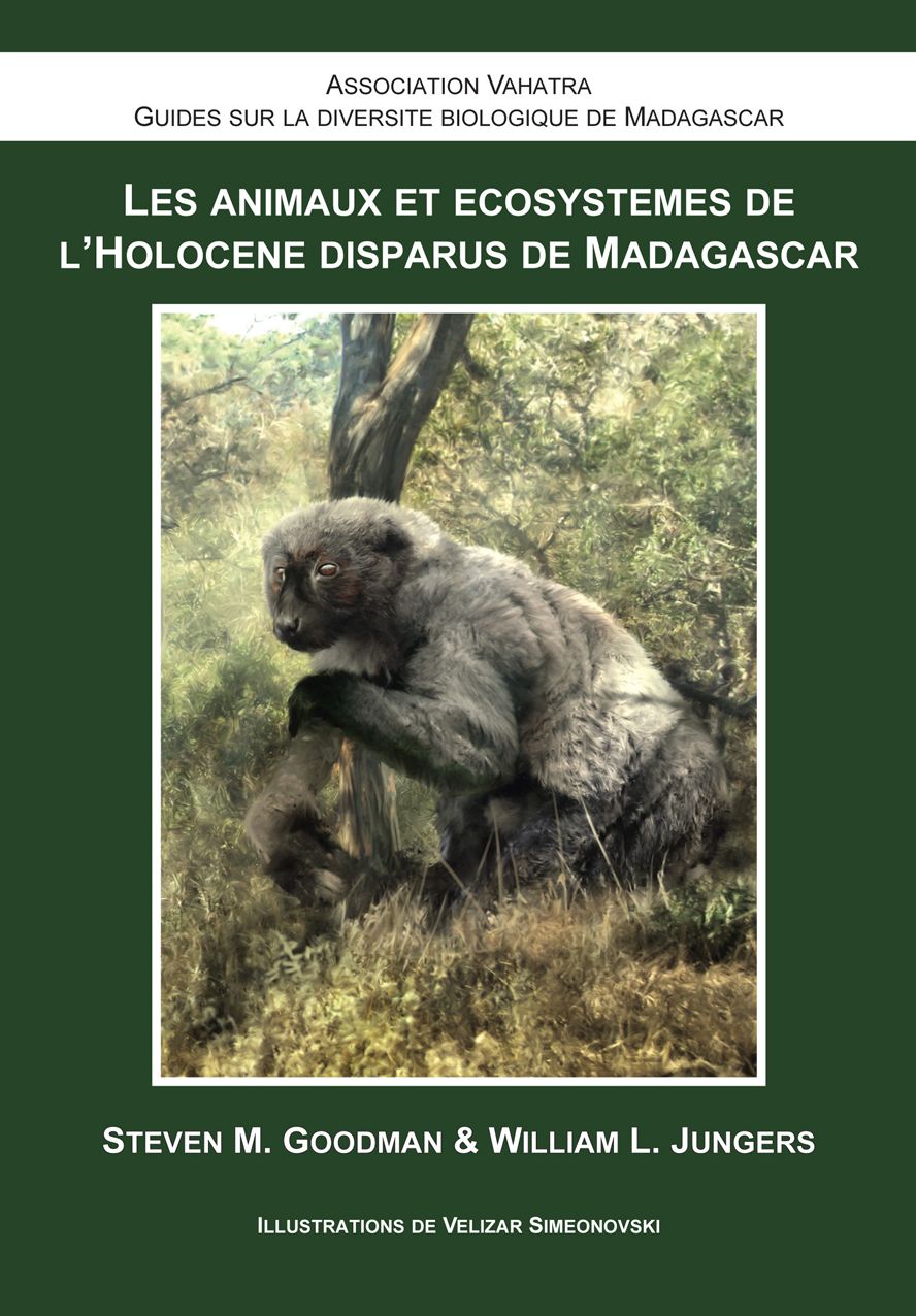 Les Animaux et Ecosystemes de l'Holocene Disparus de Madagascar