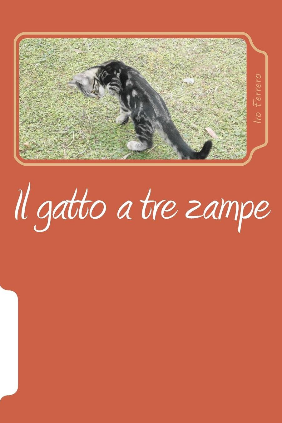 Il gatto a tre zampe: La mia vita con i gatti