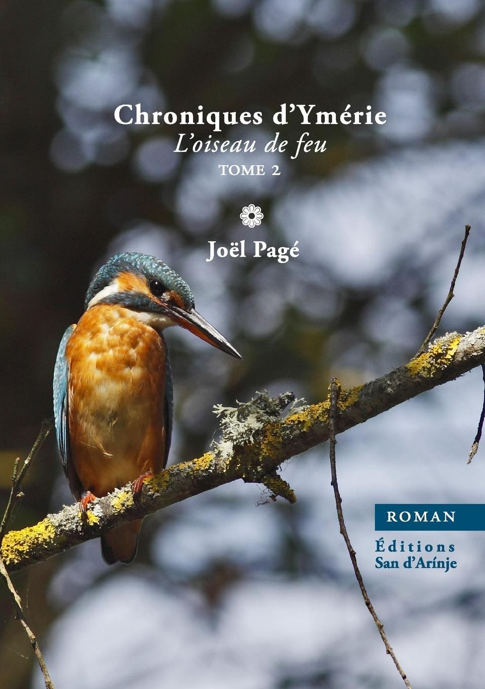Chroniques d'Ymérie, l'oiseau de feu, tome 2