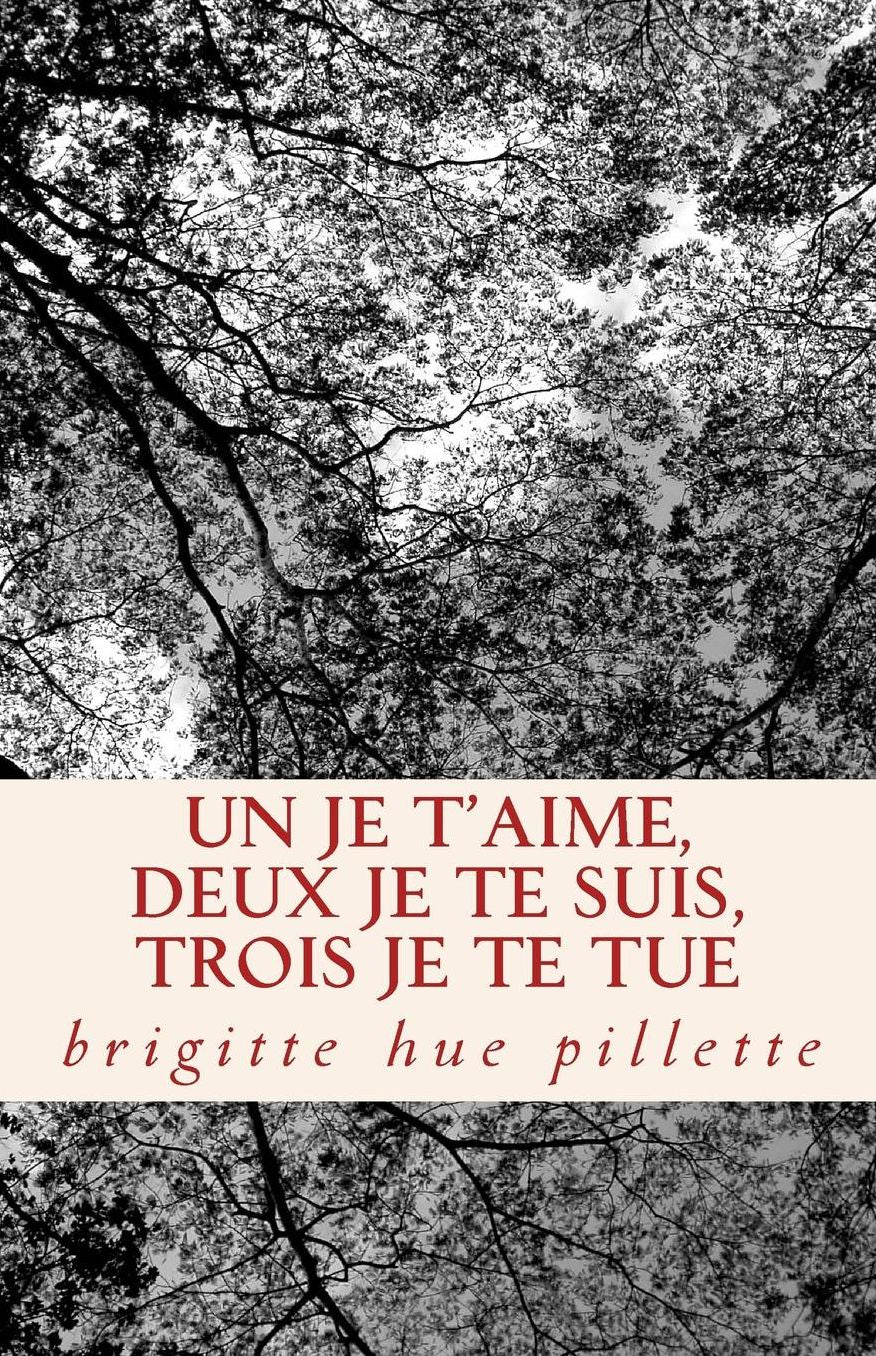 Un je t'aime, deux je te suis, trois je te tue: Recueil de Nouvelles