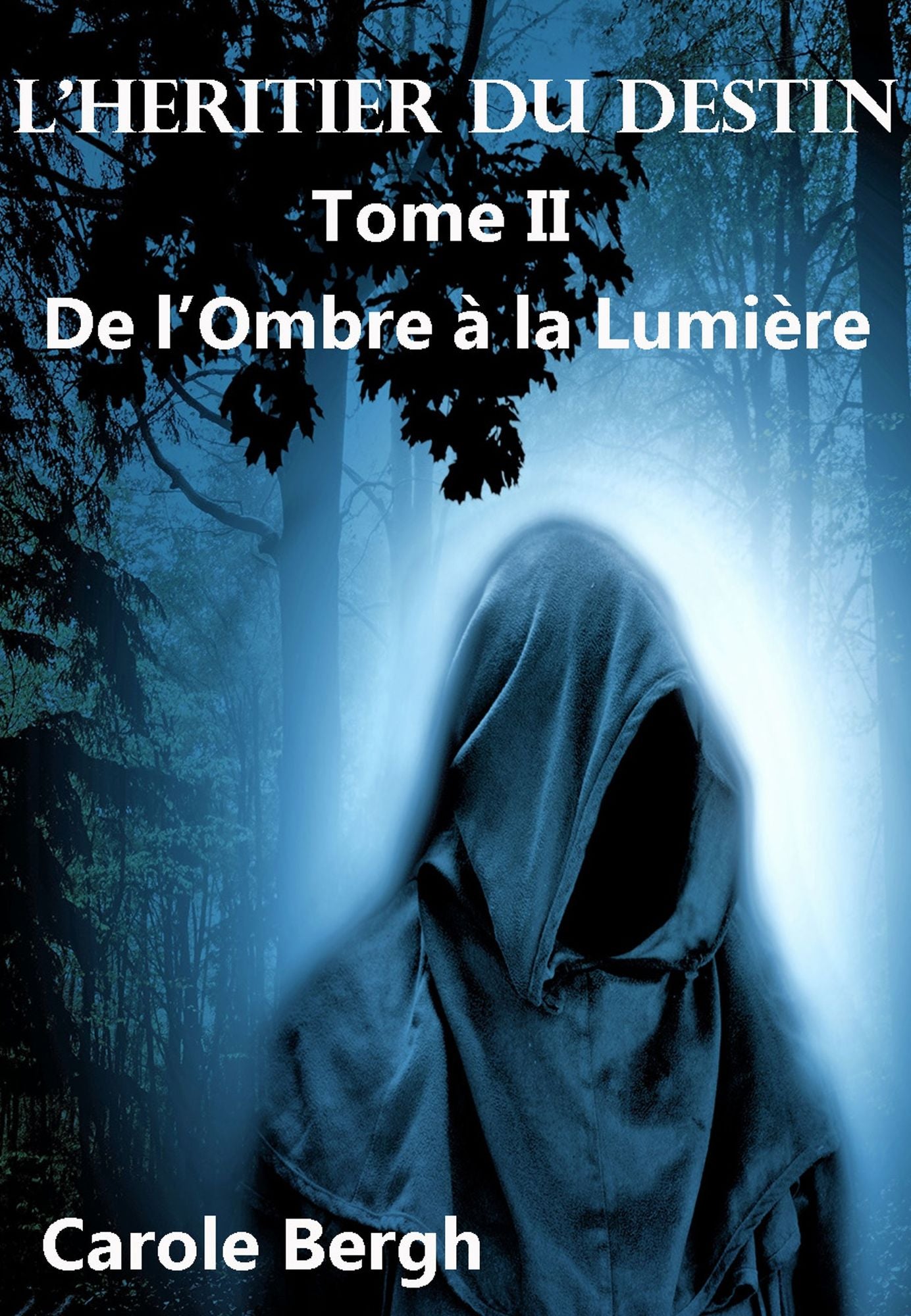 L'HÉRITIER DU DESTIN TOME II