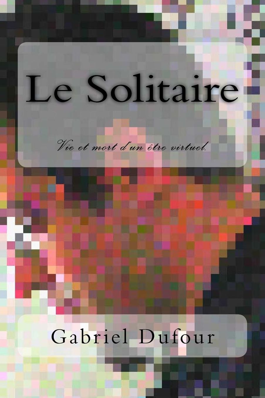 Le Solitaire: Vie et mort d'un etre virtuel.