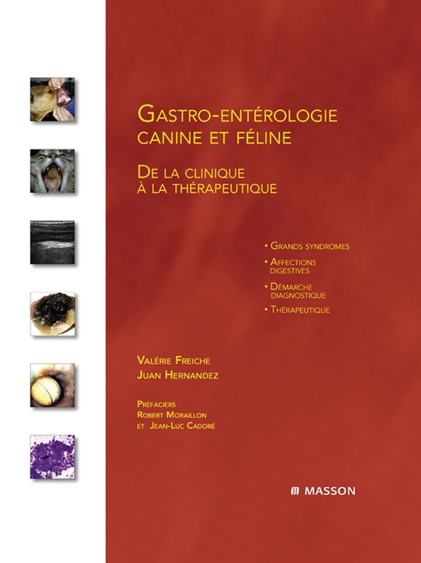Gastro-entérologie canine et féline: De la clinique à la thérapeutique