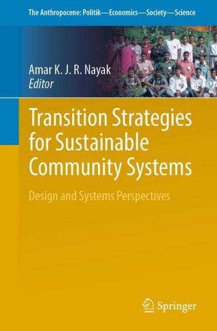 Transition Strategies for Sustainable Community Systems: Design and Systems Perspective