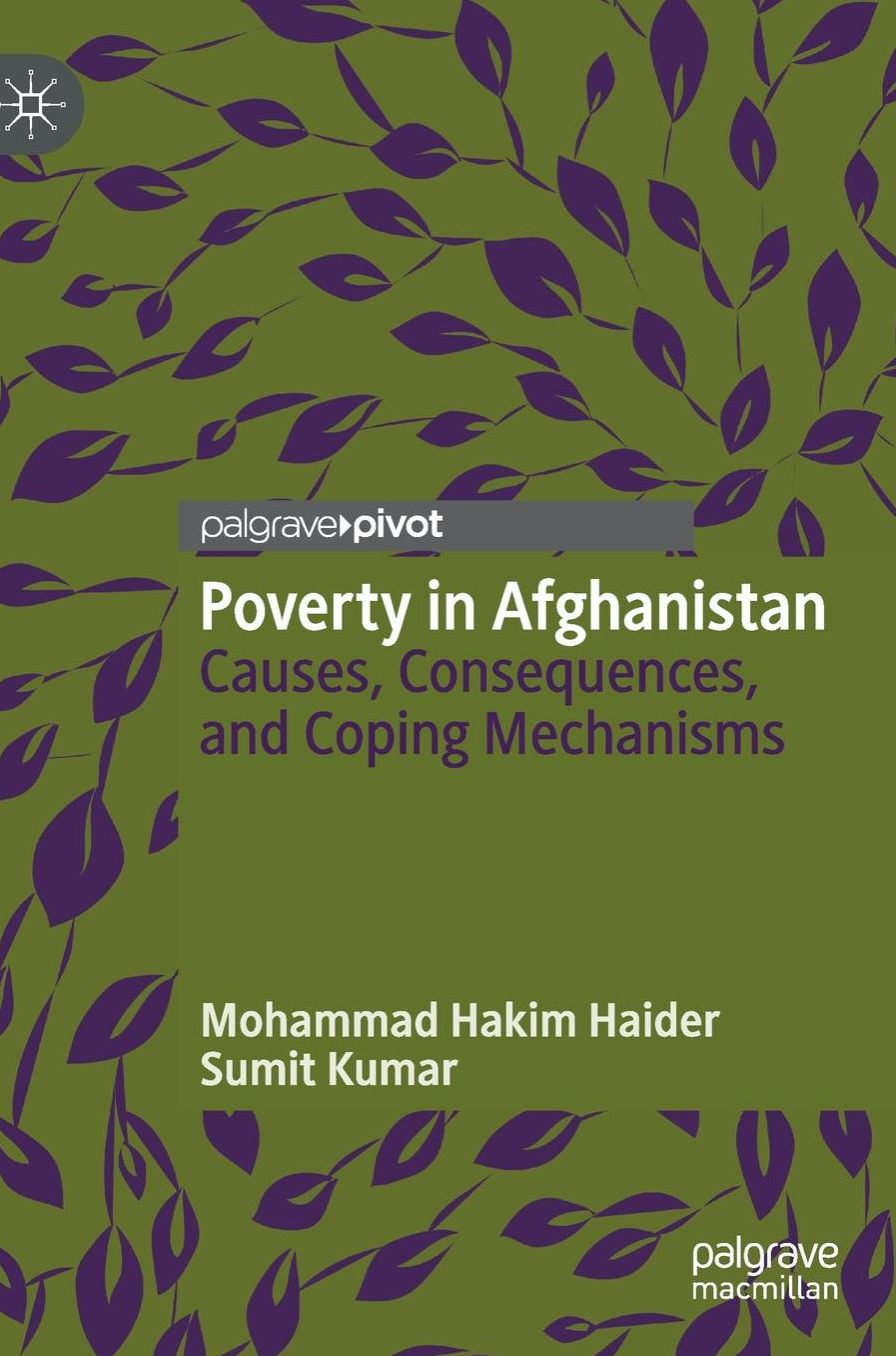 Poverty in Afghanistan: Causes, Consequences, and Coping Mechanisms