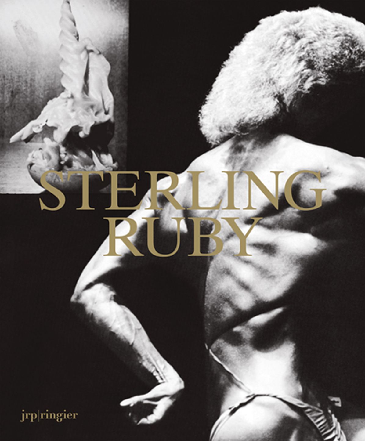 Sterling Ruby : Grip Ripper