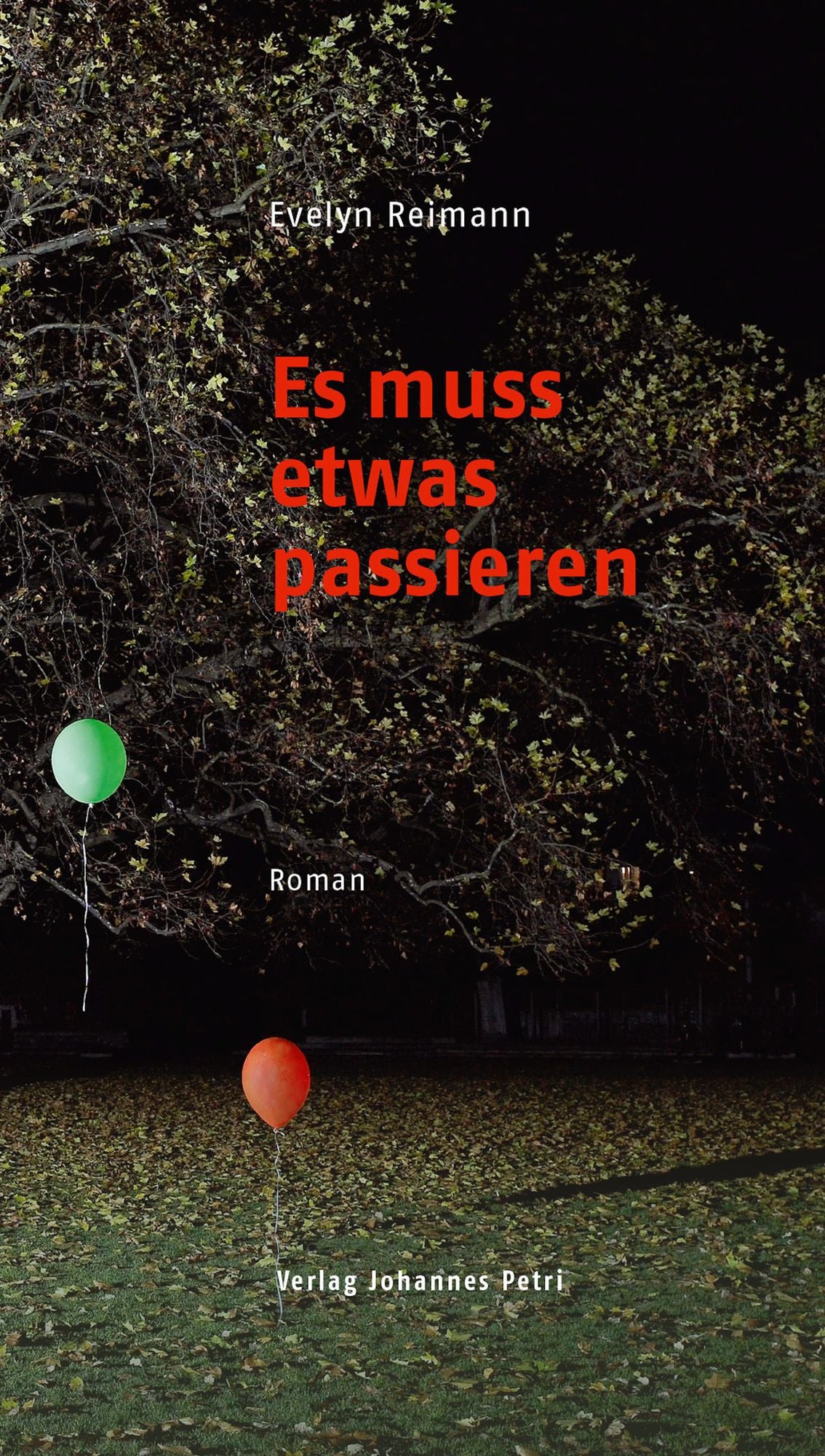 Es muss etwas passieren: Roman