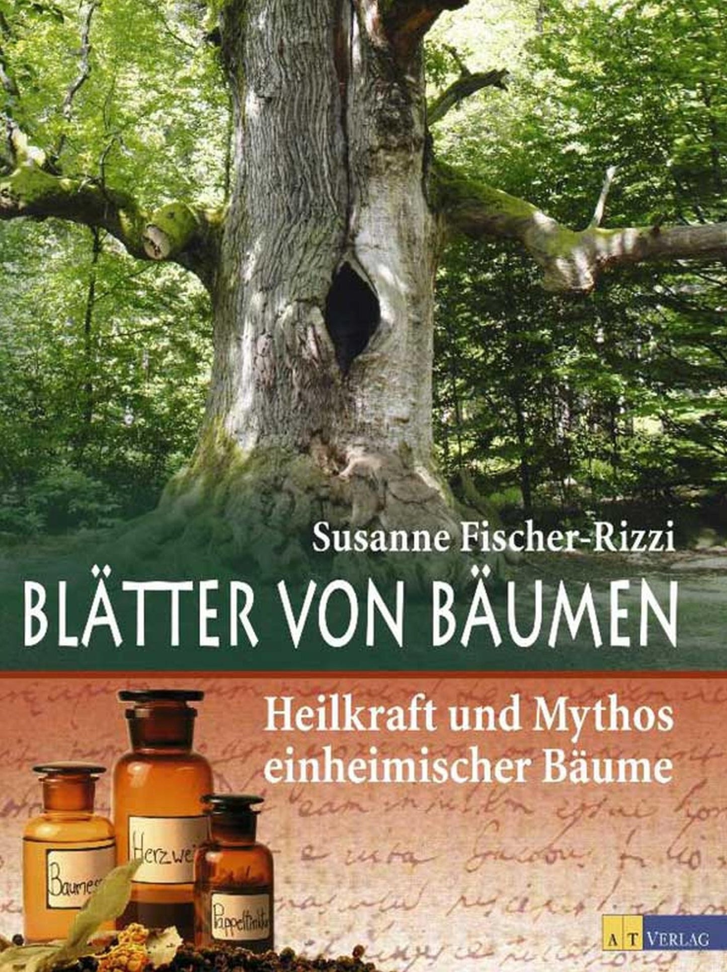 Blätter von Bäumen: Heilkraft und Mythos einheimischer Bäume