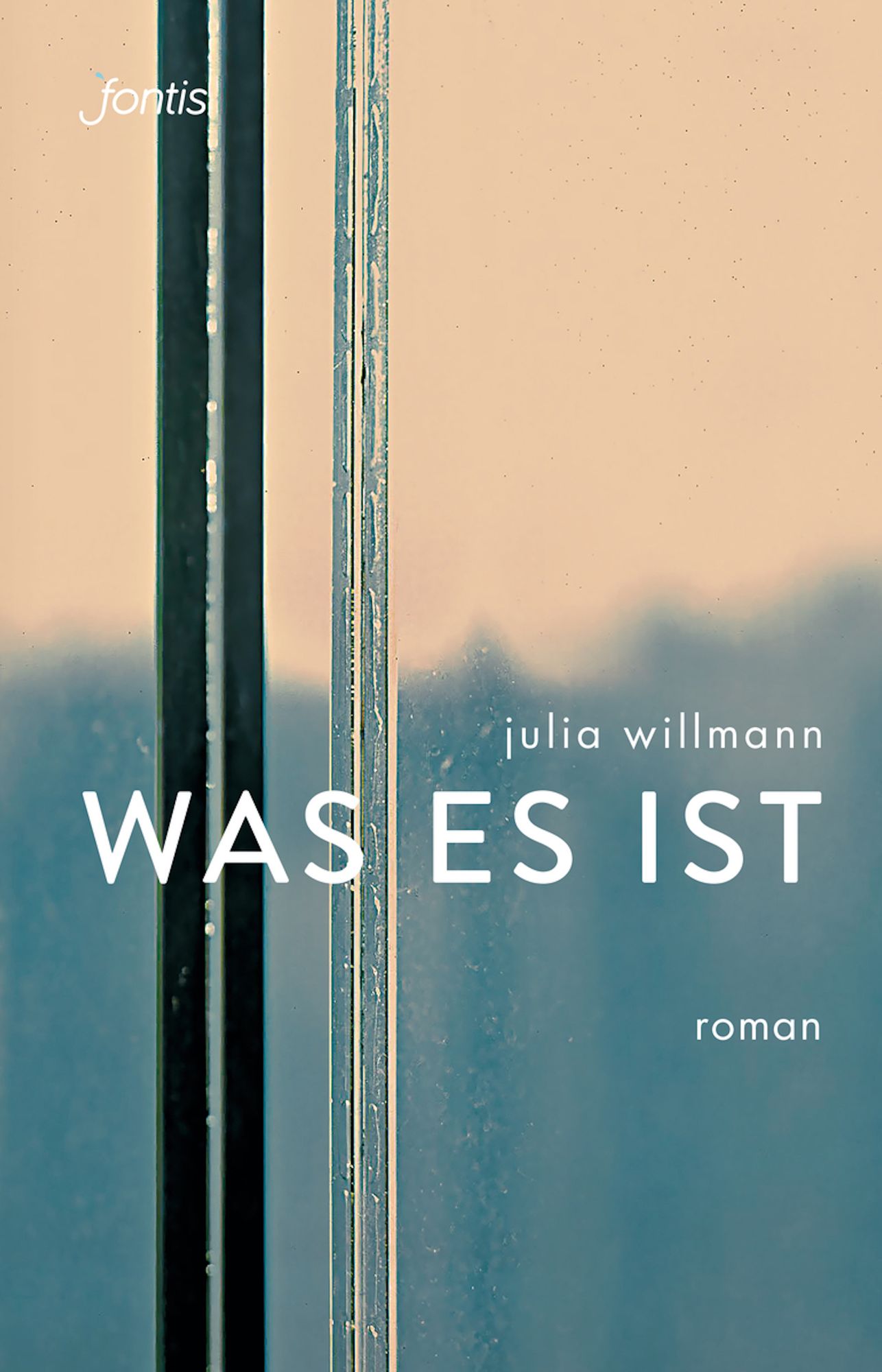 was es ist: Roman