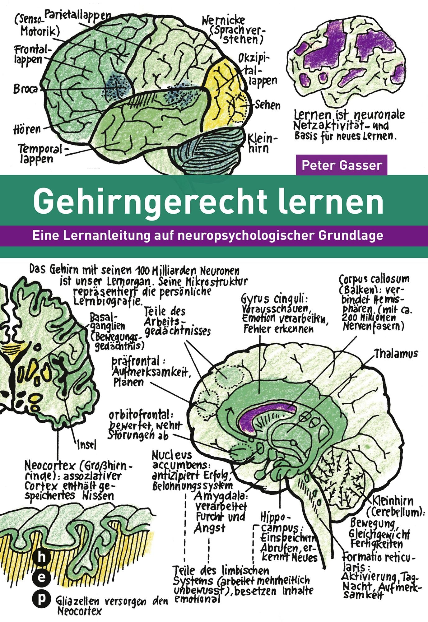 Gehirngerecht lernen: Eine Lernanleitung auf neuropsychologischer Grundlage
