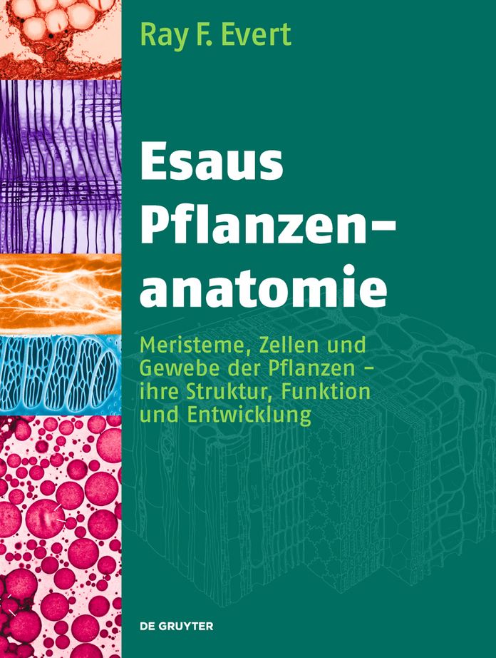 Esaus Pflanzenanatomie: Meristeme, Zellen und Gewebe der Pflanzen - ihre Struktur, Funktion und Entwicklung