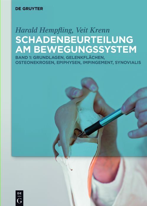 Grundlagen, Gelenkflachen, Osteonekrosen, Epiphysen, Impingement, Synovialis