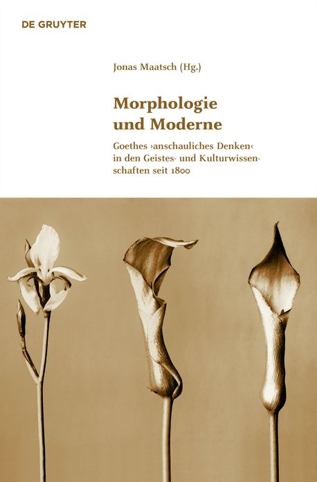 Morphologie und Moderne: Goethes 'anschauliches Denken' in den Geistes- und Kulturwissenschaften seit 1800