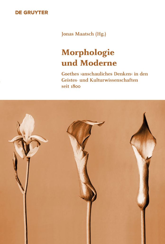 Morphologie und Moderne: Goethes #8250;anschauliches Denken#8249; in den Geistes- und Kulturwissenschaften seit 1800