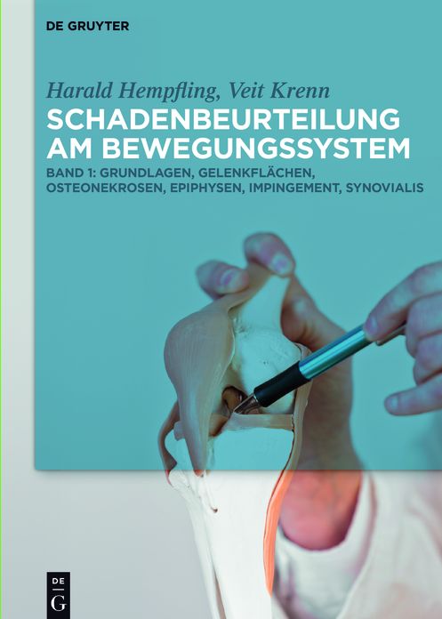 Grundlagen, Gelenkfl#x000E4;chen, Osteonekrosen, Epiphysen, Impingement, Synovialis