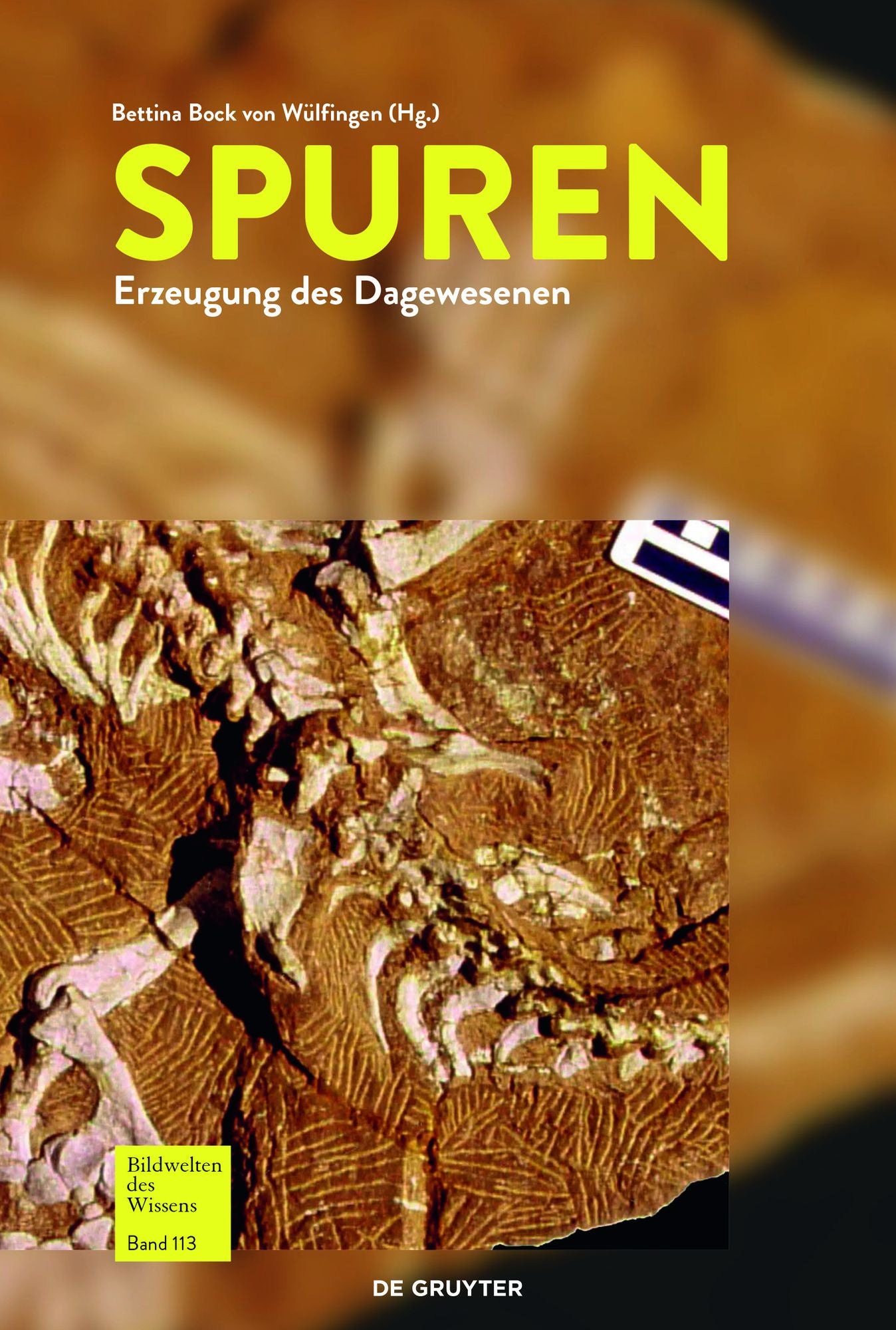 Spuren: Erzeugung des Dagewesenen