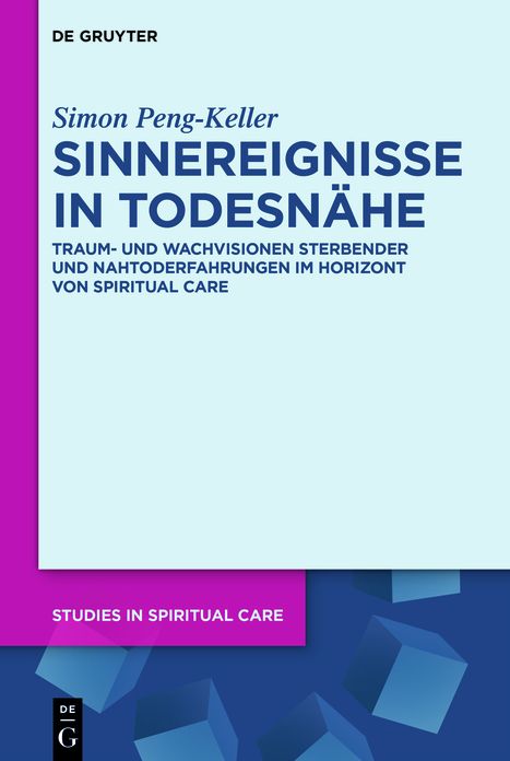 Sinnereignisse in Todesn#x000E4;he: Traum- und Wachvisionen Sterbender und Nahtoderfahrungen im Horizont von Spiritual Care
