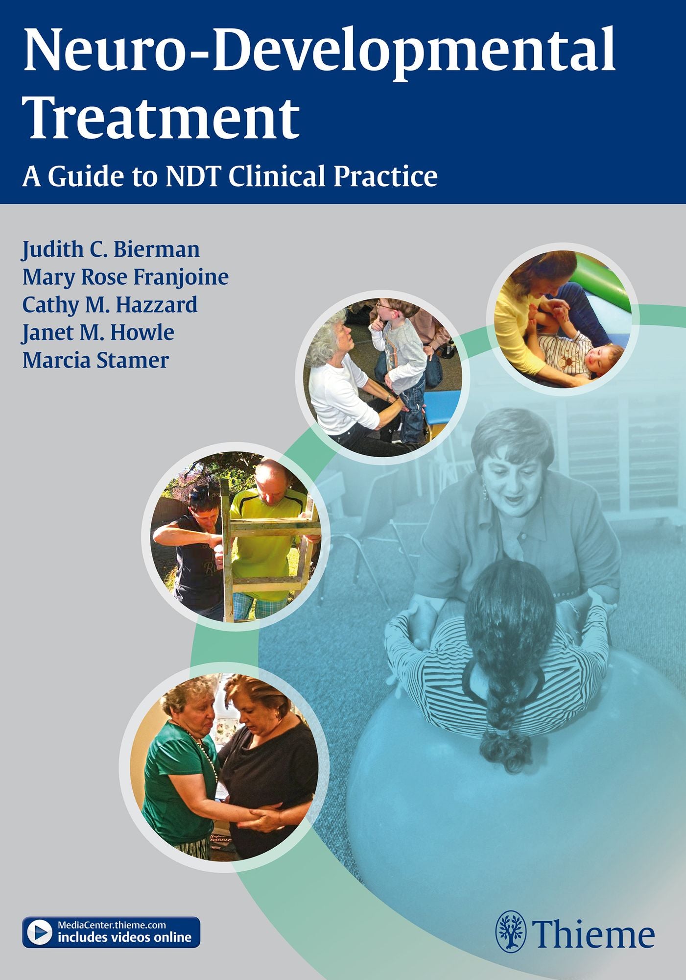 Neuro-Developmental Treatment: A Guide to NDT Clinical Practice